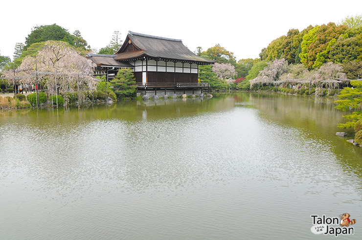 บรรยากาศสวนด้านหลังศาลเจ้าเฮอัน-มีสระน้ำขนาดใหญ่