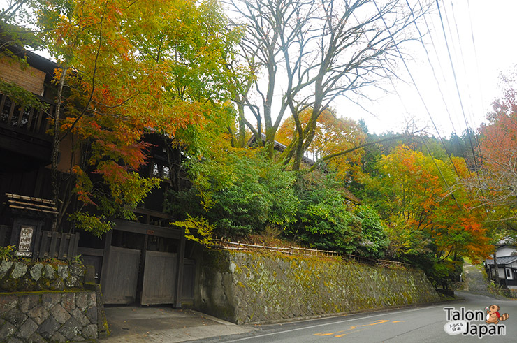 บรรยากาศช่วงใบไม้เปลี่ยนสีของเมืองคุโรคาวะ ออนเซน Kurokawa Onsen