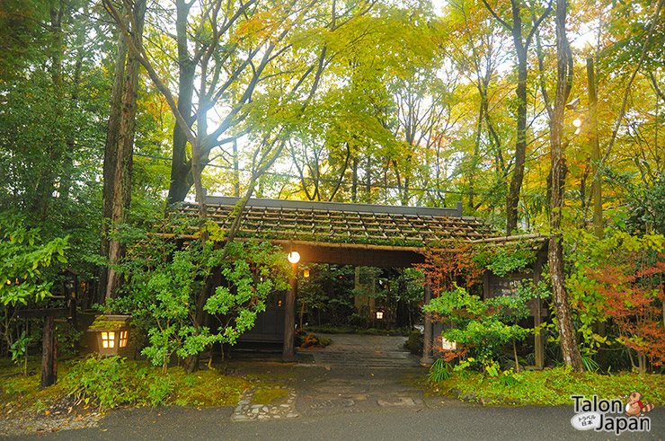 บรรยากาศช่วงใบไม้เปลี่ยนสีของเมืองคุโรคาวะ ออนเซน Kurokawa Onsen