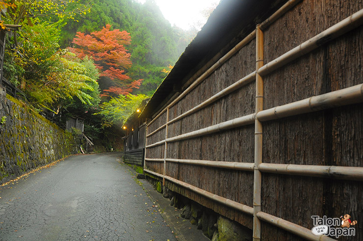 บรรยากาศช่วงใบไม้เปลี่ยนสีของเมืองคุโรคาวะ ออนเซน Kurokawa Onsen