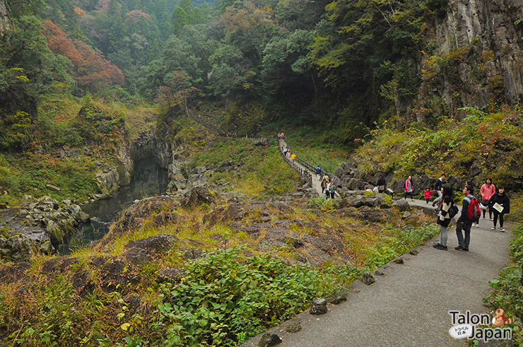 บรรยากาศระหว่างทางเดินที่ช่องเขาทาคาชิโฮะ Takachiho