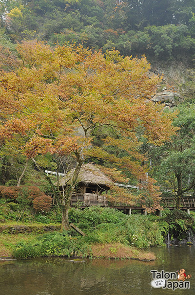 บรรยากาศระหว่างทางเดินที่ช่องเขาทาคาชิโฮะ Takachiho