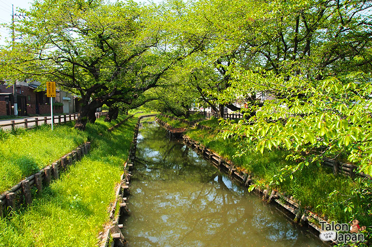 บรรยากาศทางเดินริมน้ำเมืองคาวาโกเอะ