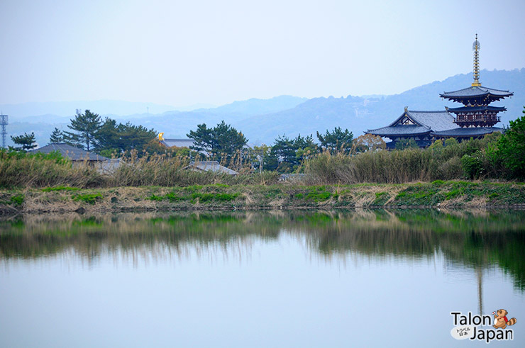 มุมไกลๆสะท้อนน้ำที่ด้านหลังของวัดยาคุชิจิ Yakushiji Temple