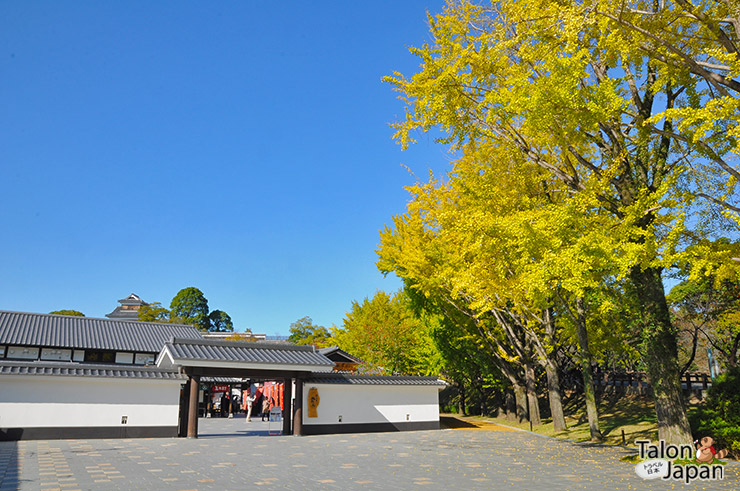 บริเวณหน้าทางเข้าศูนย์ช้อปปิ้งเมืองเก่า Sakurano baba Josaien