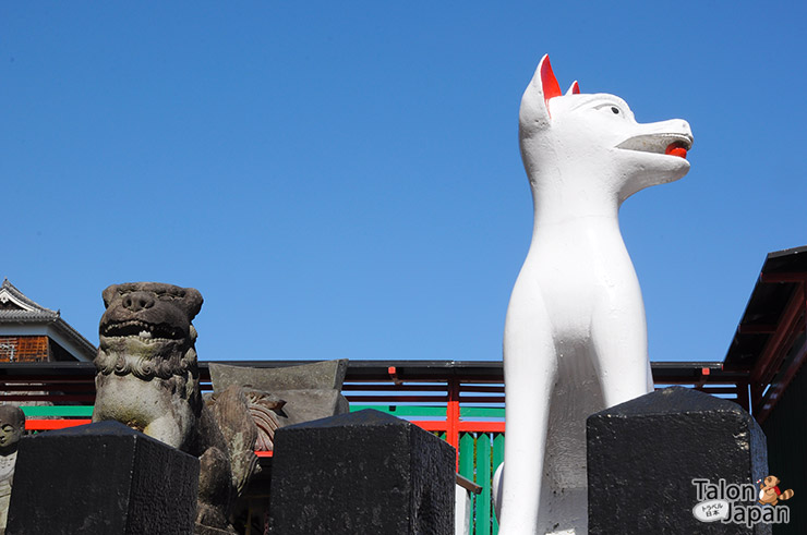 รูปปั้นจิ้งจอกที่ศาลเจ้าคุมาโมโต้อินาริ-Kumamoto-Inari-Shrine