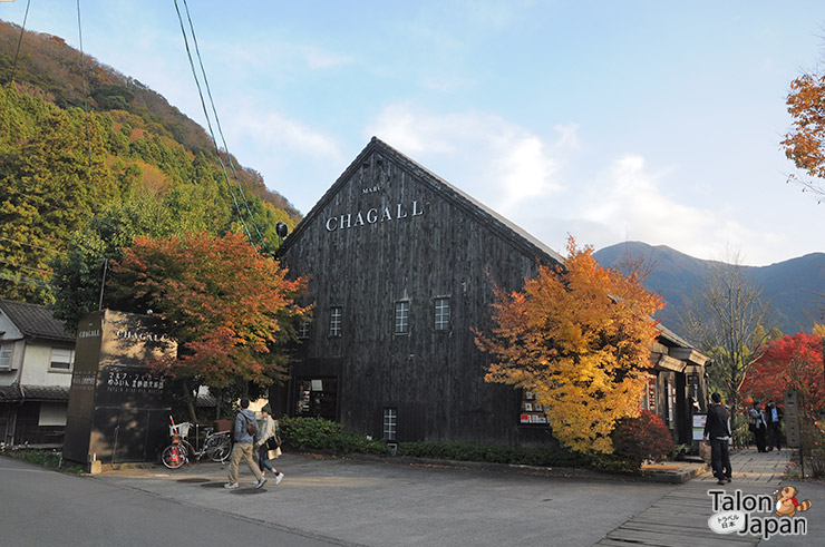 บรรยากาศช่วงฤดูใบไม้แดงที่ทะเลสาบคินริน Kinrin lake