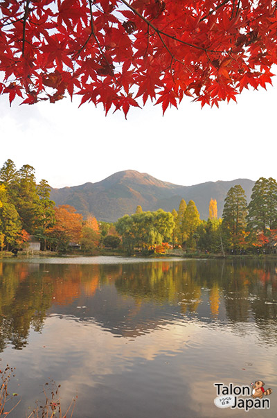 บรรยากาศช่วงฤดูใบไม้ร่วงที่ทะเลสาบคินริน Kinrin Lake