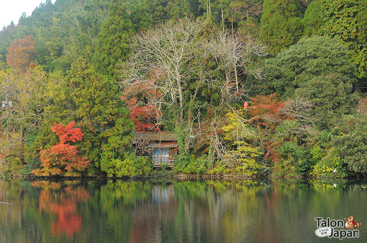 บรรยากาศที่ทะเลสาบคินริน Kinrin lake