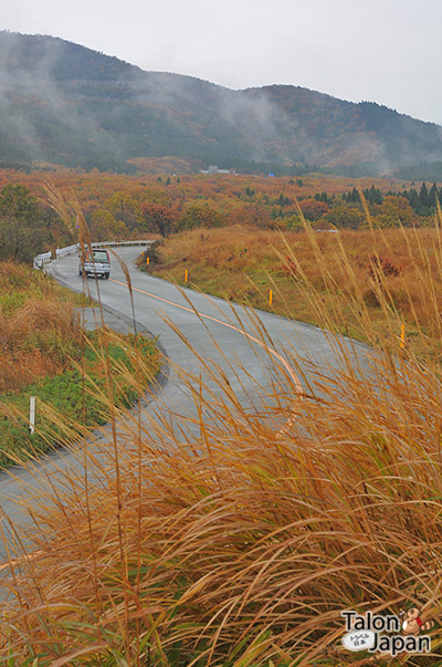 บรรยากาศใบไม้เปลี่ยนสีของถนนสายโรแมนติค Old Oguni Highway