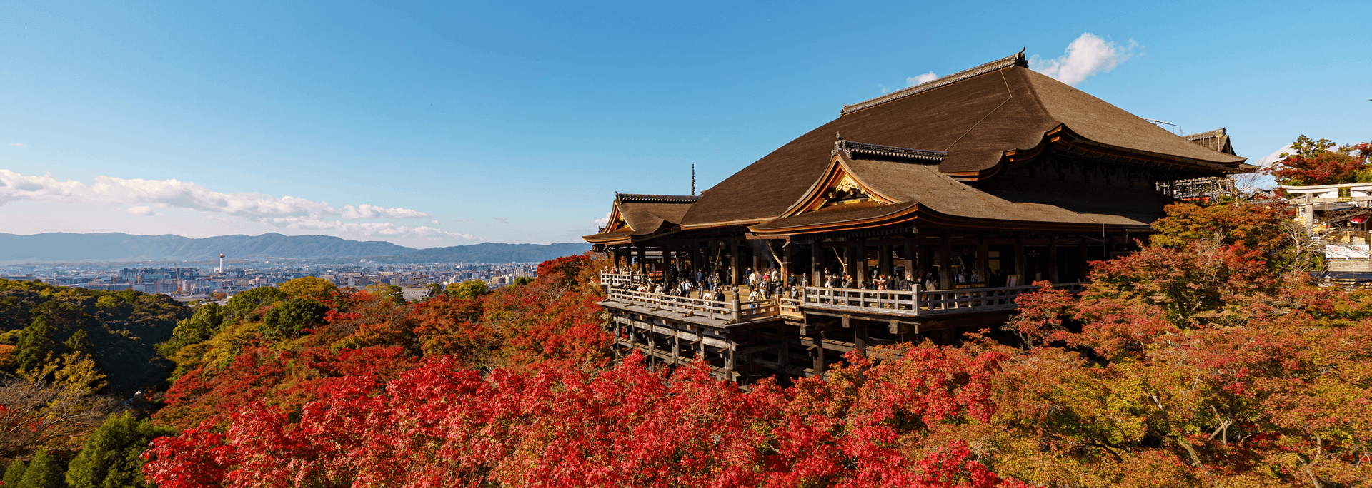季節の画像