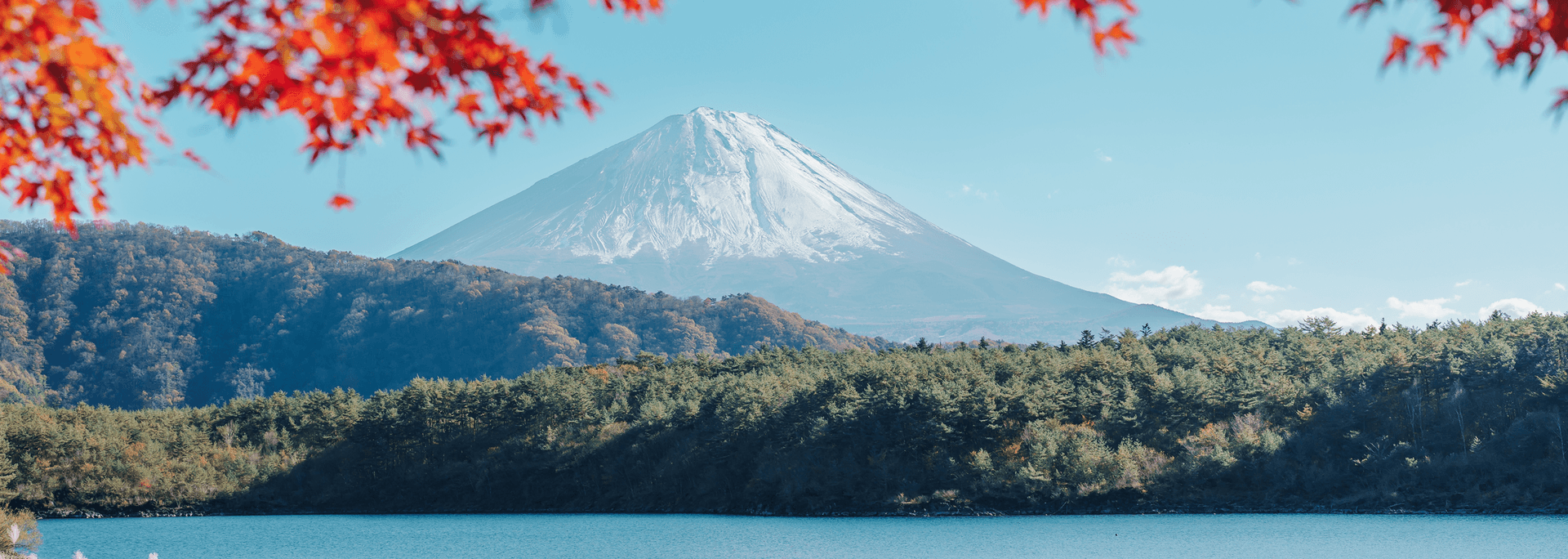 季節の画像
