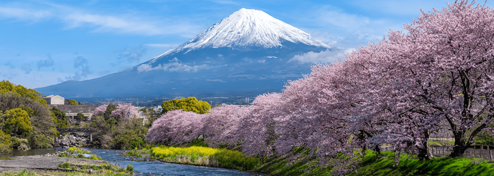 季節の画像
