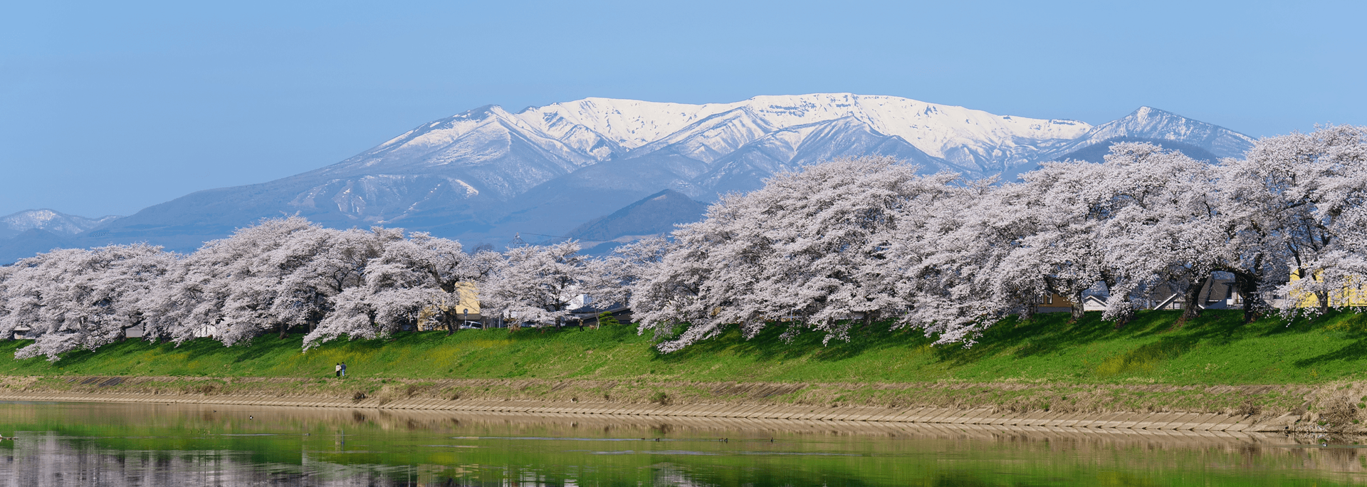 季節の画像