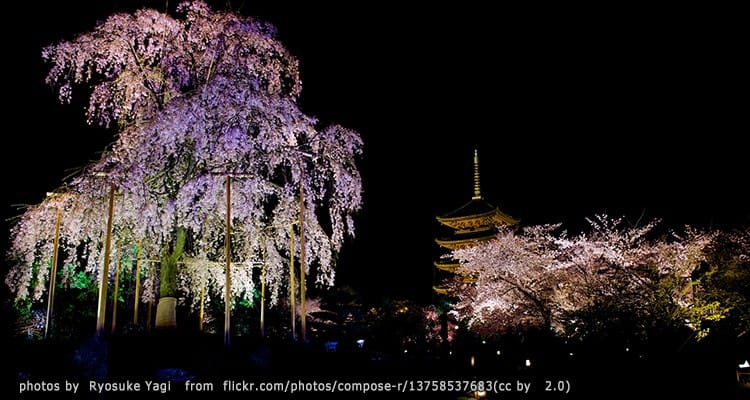 วัดโทจิ – Toji Temple (Kyoto)
