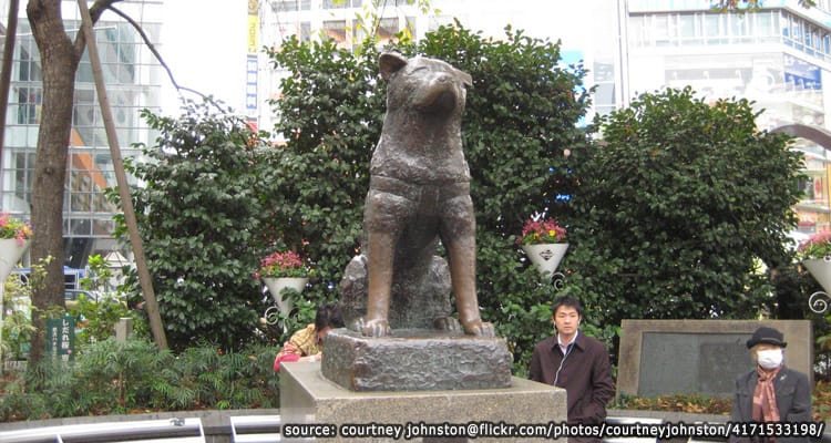 รูปปั้นสุนัข ฮาจิโกะ ผู้ซื่อสัตย์ที่สถานีชิบูย่า – Hachiko Statue