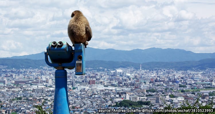 สวนลิงอิวาตายามา – Monkey Park Iwatayama