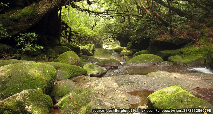 เส้นทางเดินป่าชิระทานิ อันซุยเคียว Shiratani Unsuikyo