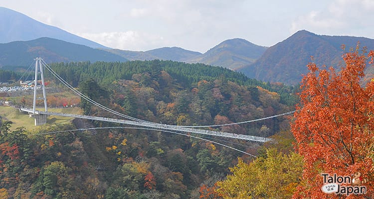 สะพานแขวนยูเมะ Yume Suspension Bridge