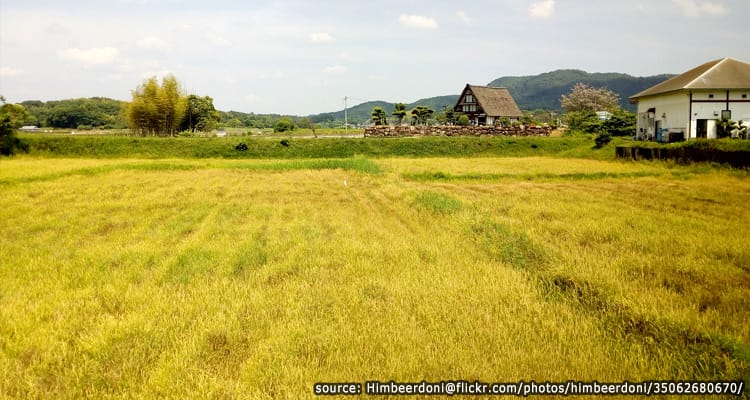 เส้นทางปั่นจักรยานที่ทุ่งกว้างกิบิ Kibi Plain