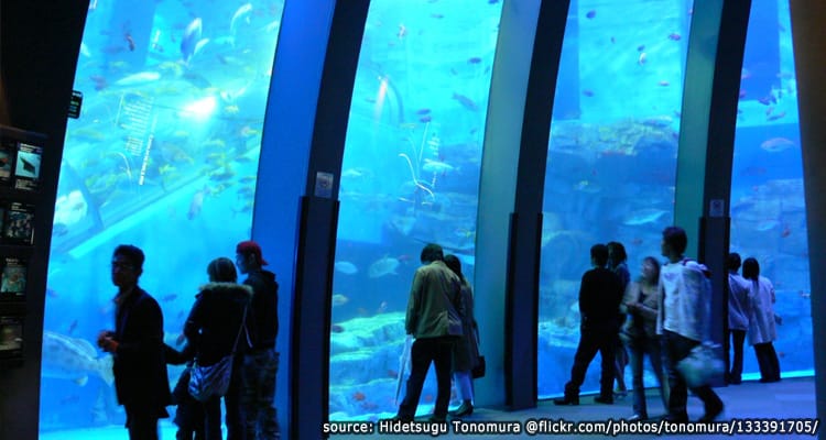 พิพิธภัณฑ์สัตว์น้ำฮักเคอิจิม่า – Hakkeijima Sea Paradise
