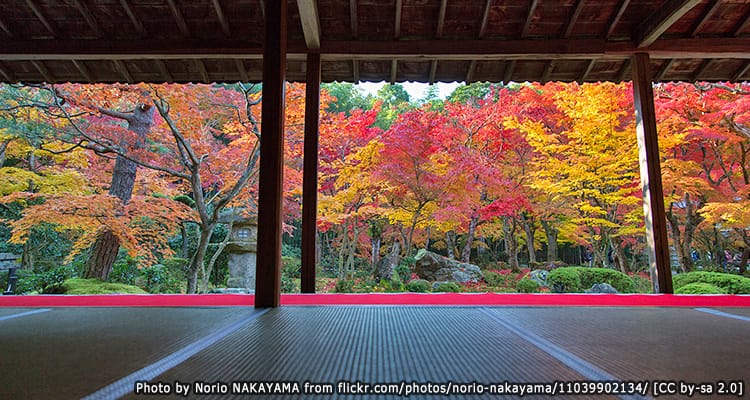วัดเอนโคจิ Enkoji Temple