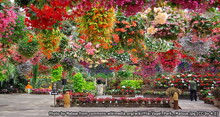 สวนนกมัตสึเอะ Matsue Vogel Park