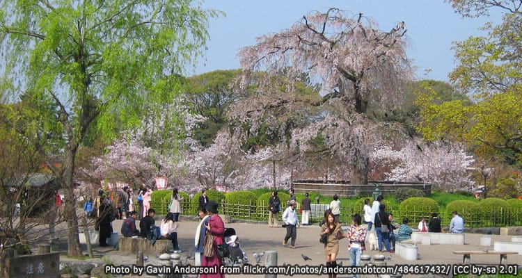 สวนสาธารณะมารุยาม่า Maruyama Park