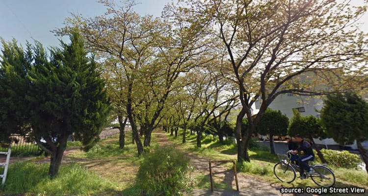 สวนเฮวะ ชิมิน Heiwa Shimin Park