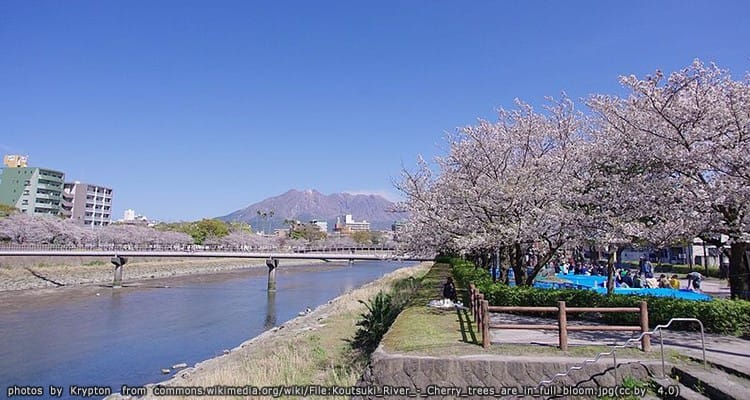 แม่น้ำโคซึกิ Kotsuki River