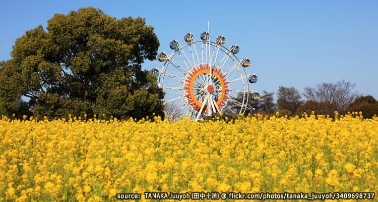สวนสัตว์และสวนพฤษศาสตร์ Kumamoto Zoo&Botanical Garden