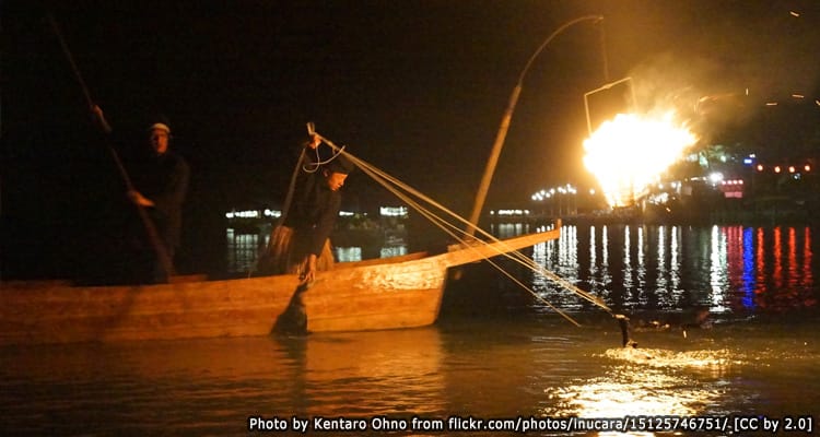 การตกปลาแบบยูไค Ukai Cormorant Fishing