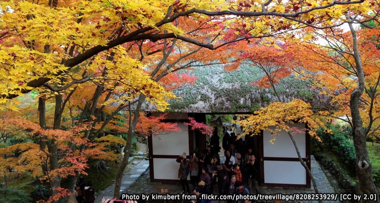 วัดโจจัคคุจิ Jojakkoji Temple