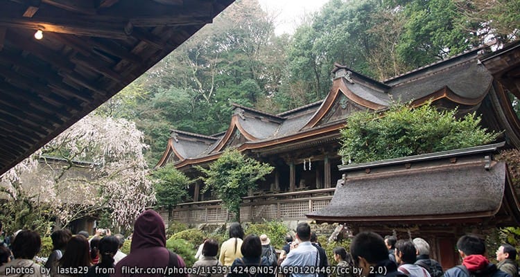 ศาลเจ้าคาชิฮาระ Kashihara Shrine