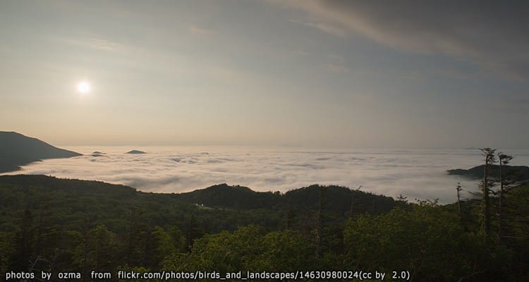 เส้นทางชิเรโทโกะ Shiretoko Pass