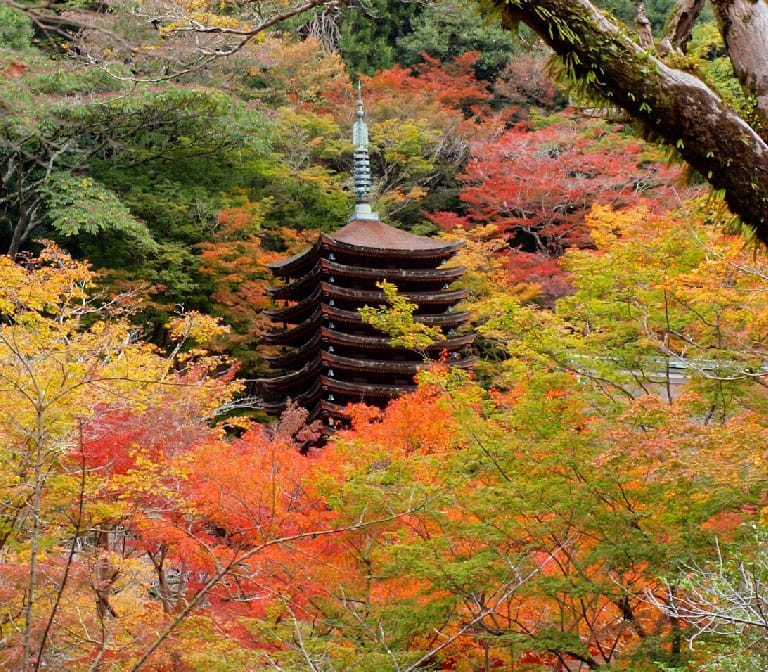 ศาลเจ้าทานซาน Tanzan Shrine