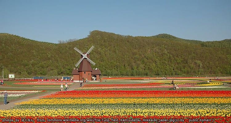 สวนคามิยุเบ็ทสึ Kamiyubetsu Park