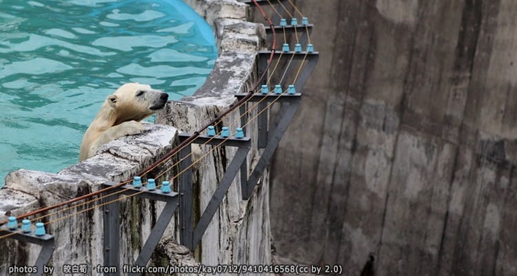 สวนสัตว์มารุยามะ Maruyama Zoo