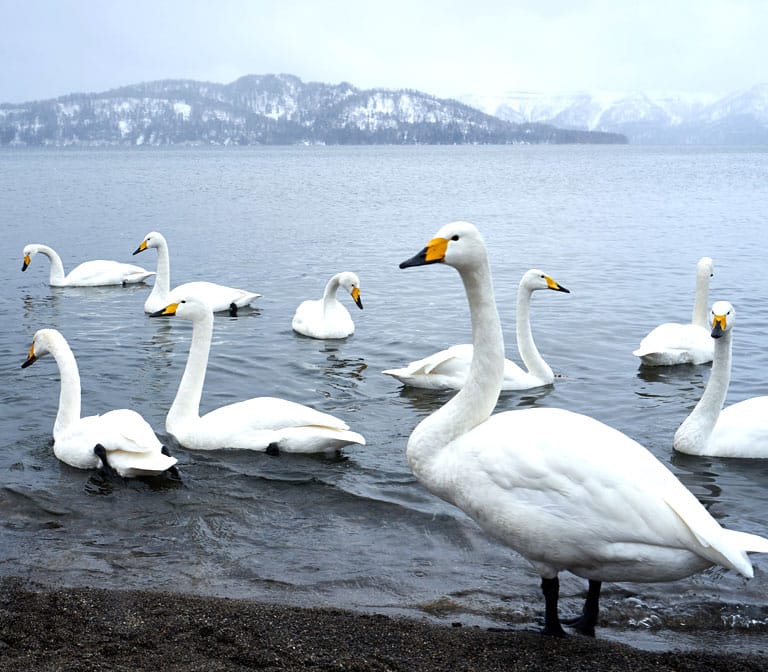 ทะเลสาบอะกัง Lake Akan