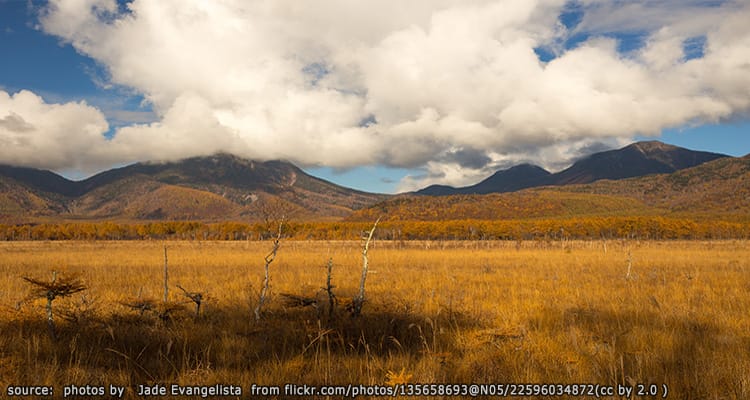 ที่ลุ่มเซนโจงาฮาระ Senjogahara Marshland