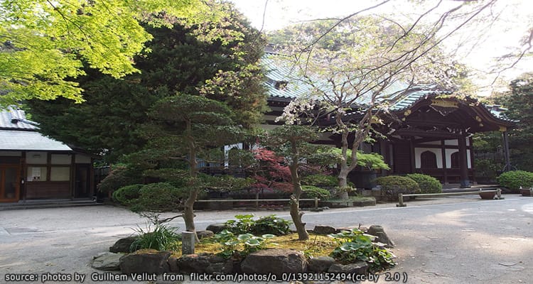 วัดเมียวฮอนจิ Myohonji Temple