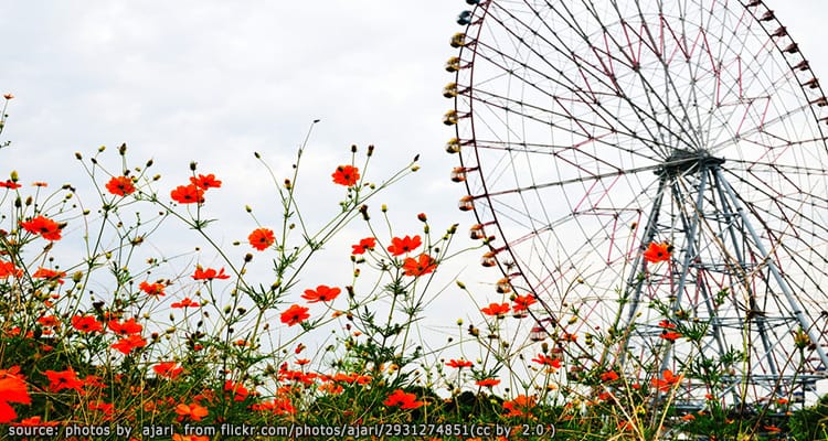 สวนริมน้ำ คาไซ รินไค Kasai Rinkai Park
