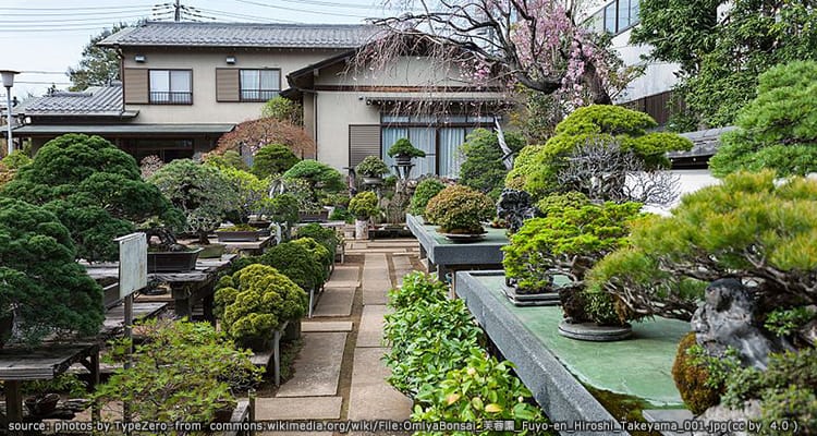 หมู่บ้านบอนไซโอมิยะ Omiya Bonsai Village