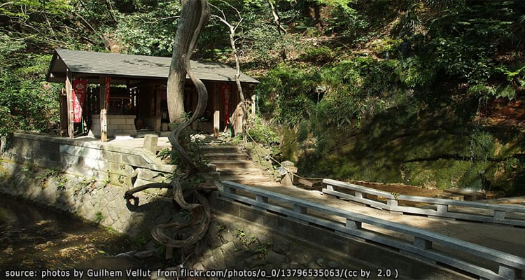 หุบเขาโทโดโรกิ Todoroki Valley
