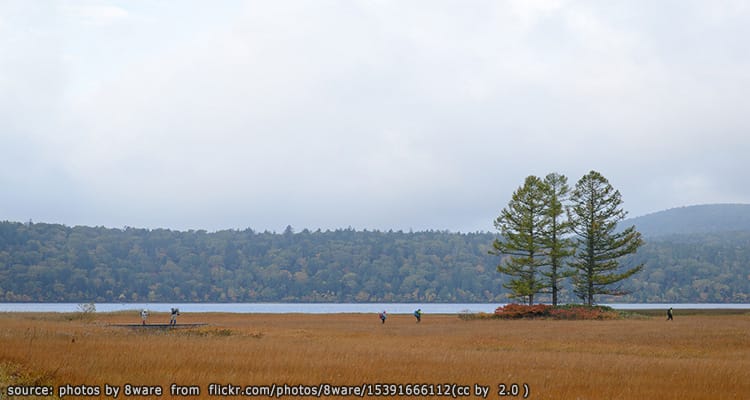 อุทยานแห่งชาติโอเซ Oze National Park