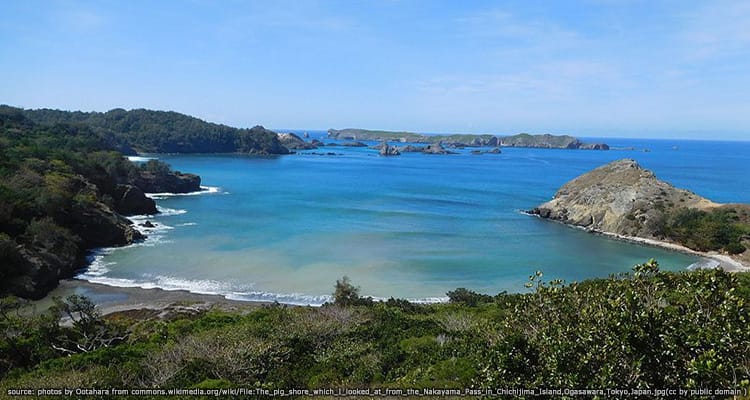 เกาะชิชิจิมะ Chichijima Island