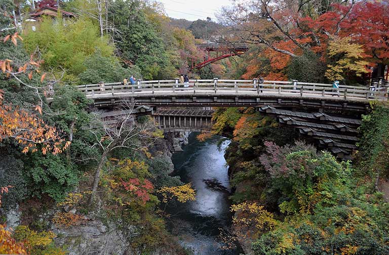 สะพานไม้โบราณซารุฮาชิ Saru-hashi Bridge