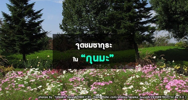 จุดชมซากุระในกุนมะ Gunma Hanami Spots