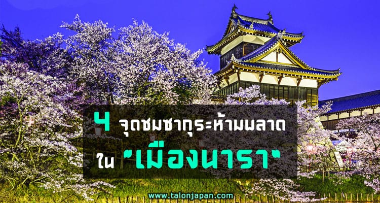 จุดชมซากุระในนารา Nara Hanami Spots