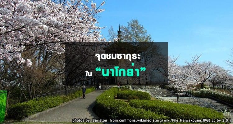 จุดชมซากุระในนาโกย่า Nagoya Hanami Spots